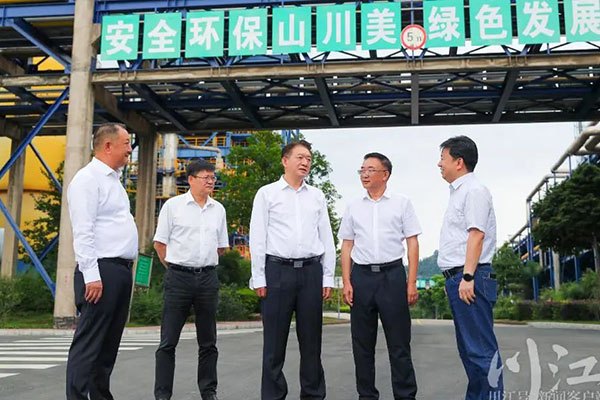 杨林兴：把新型工业化摆在更加突出的位置，让“四化同步”发展的主引擎作用更加凸显